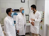 اشتغال 125 نفر و تولید سالیانه 300 تن چای نتیجه مجاهدت اقتصادی یک کارخانه در قرچک