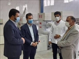 بازدید دادستان و رئیس دادگستری قرچک از واحدهای تولیدی بخش کشاورزی این شهرستان