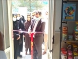 اولین مرکز بازی های فکری در قرچک افتتاح شد