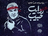 کاروان هنری «روایت حبیب» در قرچک برگزار شد