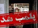 دو واحد آلاینده زیست محیطی در قرچک پلمب شد