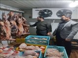 معدوم سازی 862 کیلوگرم فرآورده‌های پروتئینی فاسد و تاریخ مصرف گذشته