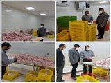 کشف بیش از 4 تن مرغ فاقد مجوز و خارج از شبکه توزیع در شهرستان قرچک