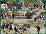 برگزاری مراسم درختکاری در دانشگاه پیام نور با حضور امام جمعه شهرستان قرچک