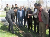 مراسم غرس نهال ایثار در جوار شهدای گمنام قرچک برگزار شد