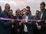 افتتاح دامداری ۲۹۰۰ رأسی در شهرستان قرچک با حضور استاندار تهران