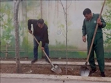 پویش مردمی هر خانه یک درخت در قرچک اجرا شد