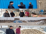 کشف ۸۳ تن پودر استخوان و مکمل خوراک دام از یک کارگاه غیر مجاز در شهرستان قرچک 