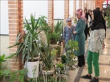 دومین نمایشگاه گل و گیاه در قرچک آغاز به کارکرد