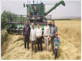 آغاز برداشت جو در شهرستان قرچک
