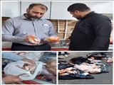 کشف ۲۱۵ کیلوگرم فرآورده‌های پروتئینی فاسد و غیر بهداشتی از یک واحد عرضه فست فود در شهرستان قرچک 