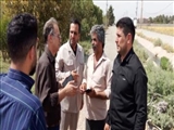 پیشرفت ۵۰ درصدی پروژه تعریض جاده قرچک به پاکدشت