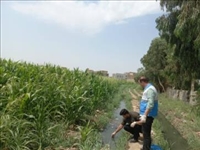 پایش وضعیت كيفي آب های سطحی مورد استفاده در اراضی کشاورزی شهرستان قرچک