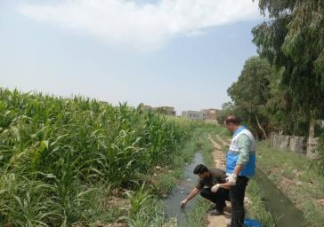 پایش وضعیت كيفي آب های سطحی مورد استفاده در اراضی کشاورزی شهرستان قرچک